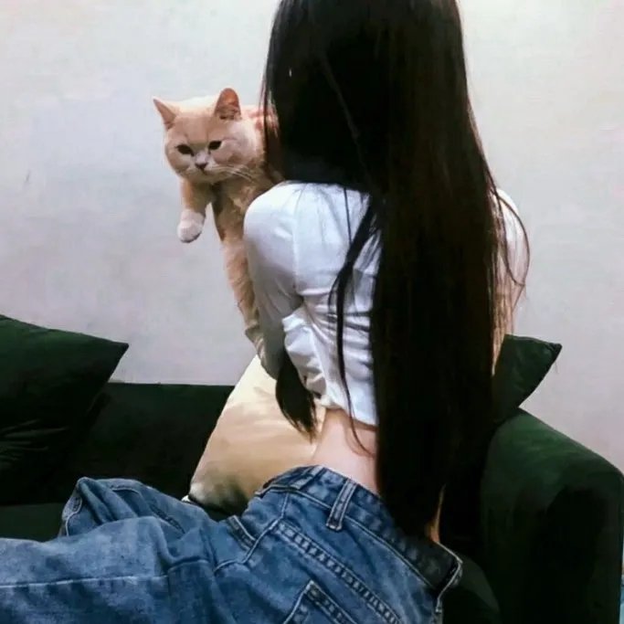 综艺娱乐